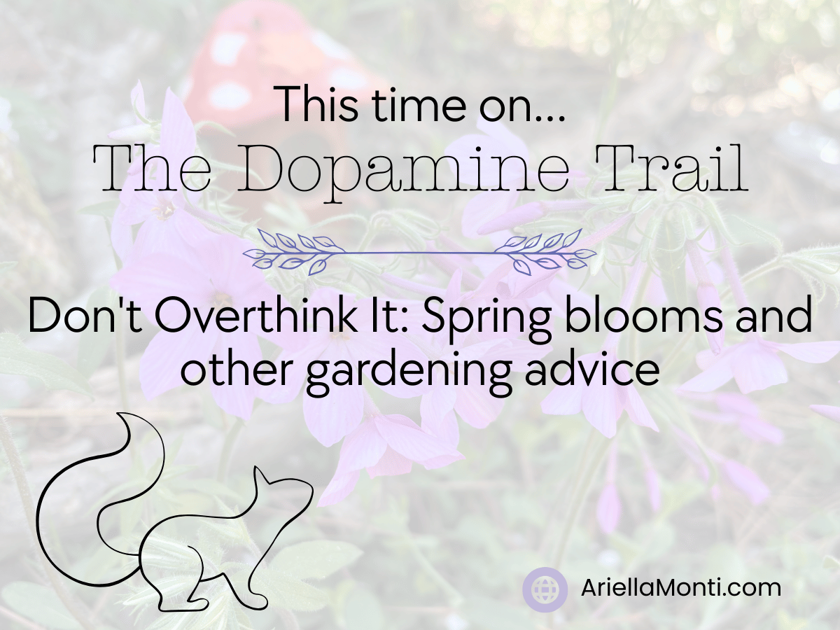 Don’t Overthink It: Spring blooms and other gardening advice